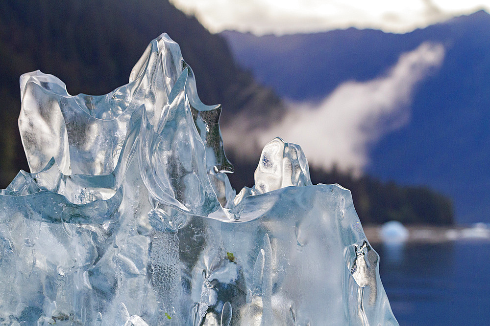 Glacial iceberg detail from ice calved off the LeConte Glacier near Petersberg, Southeast Alaska, USA, Pacific Ocean.