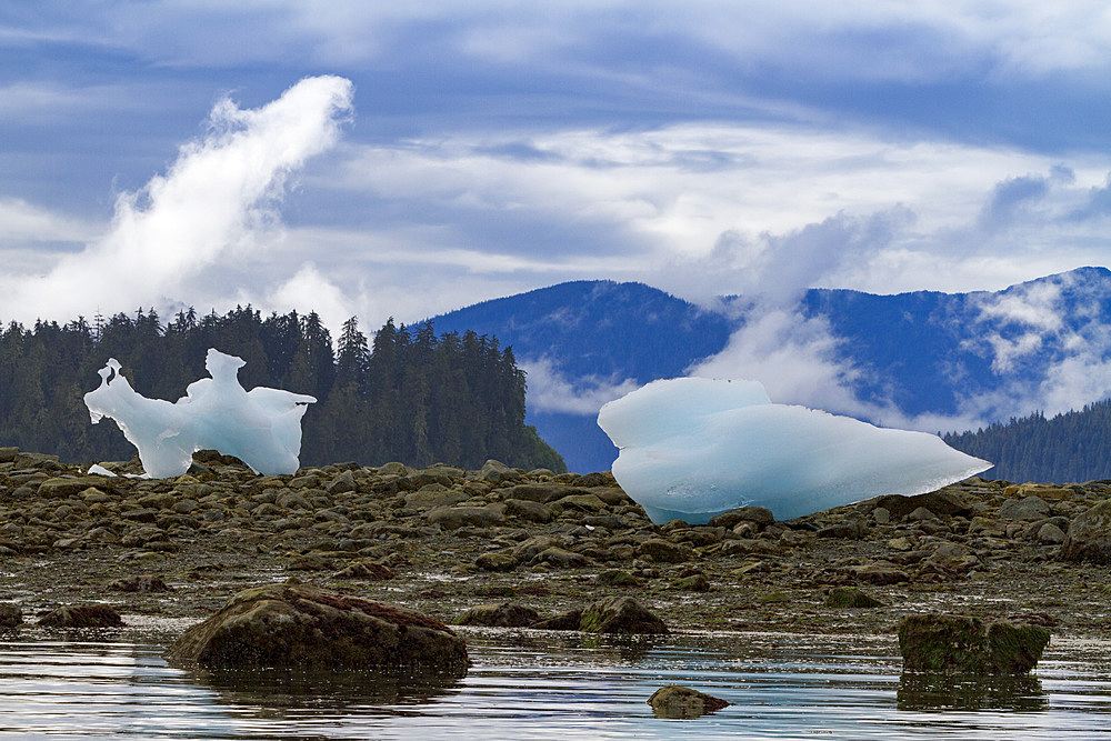 Glacial iceberg detail from ice calved off the LeConte Glacier near Petersberg, Southeast Alaska, USA, Pacific Ocean.