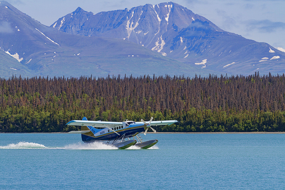 Float planes used to fly guests in to the Brooks Lodge and campground in Katmai National Park near Bristol Bay, Alaska.