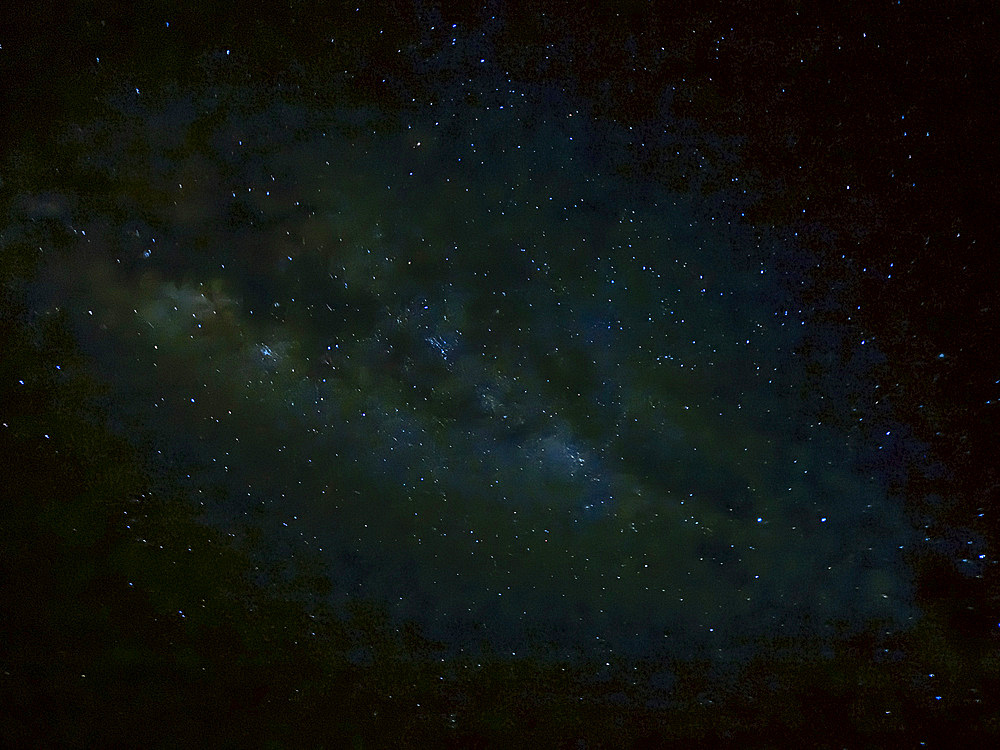 The night sky from deep within the Pacaya Samiria Preserve, Peru.