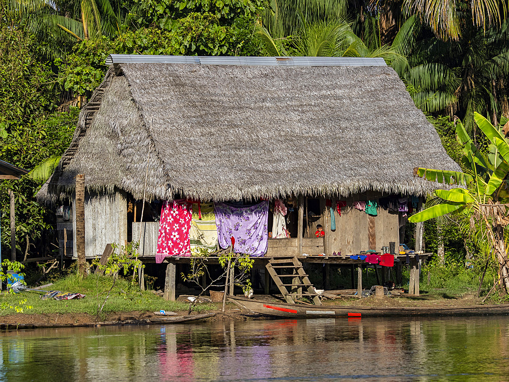 The second highest river level of the 21st century in a small village deep within the Pacaya Samiria Preserve, Peru.