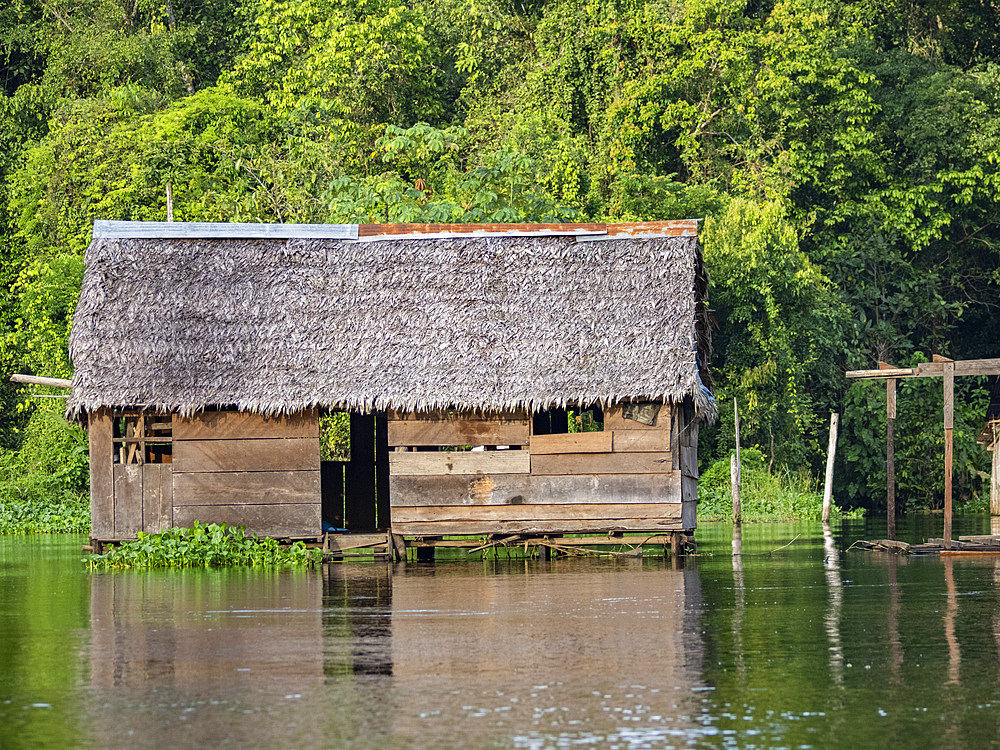 The second highest river level of the 21st century in a small village deep within the Pacaya Samiria Preserve, Peru.
