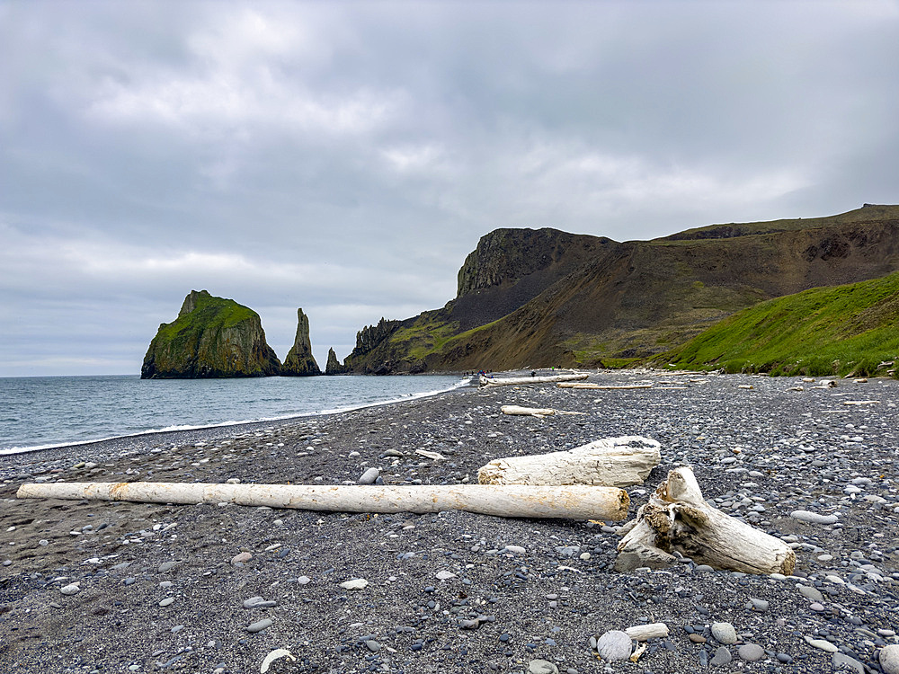 Driftwood on the beach on Saint Mathew Island, Alaska.