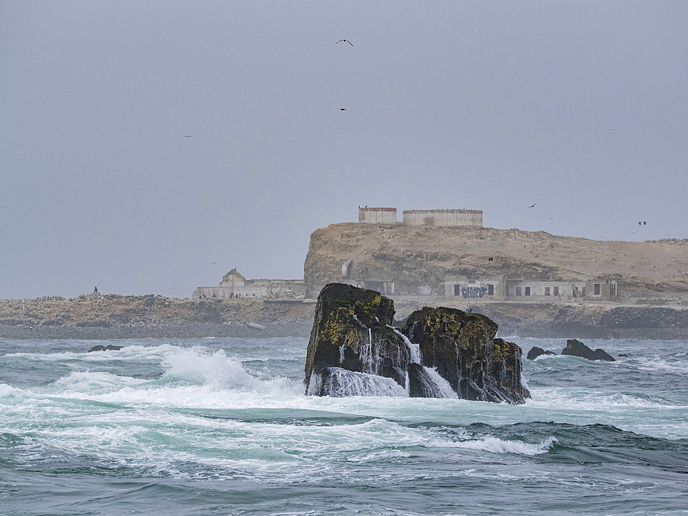 Scenes from the Palomino Islands on a foggy and stormy day, just outside Lima, Peru.