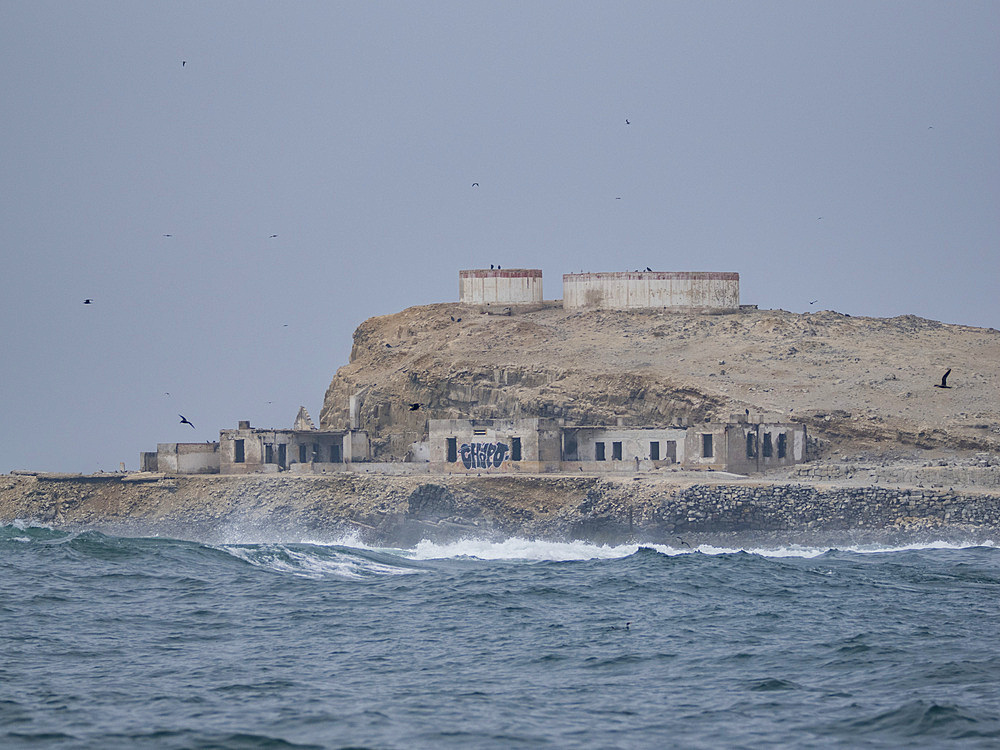 Scenes from the Palomino Islands on a foggy and stormy day, just outside Lima, Peru.