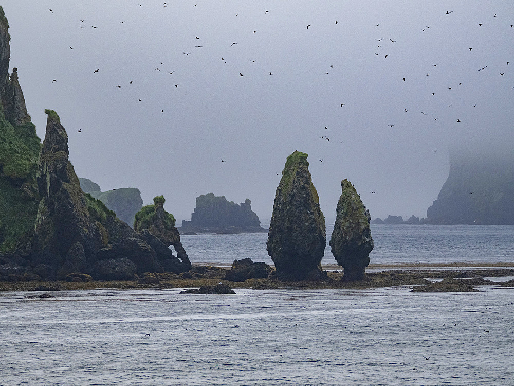 The Baby Islands, located about 1.2 miles northeast of Unalga Island in the Aleutian Islands of southwestern Alaska.