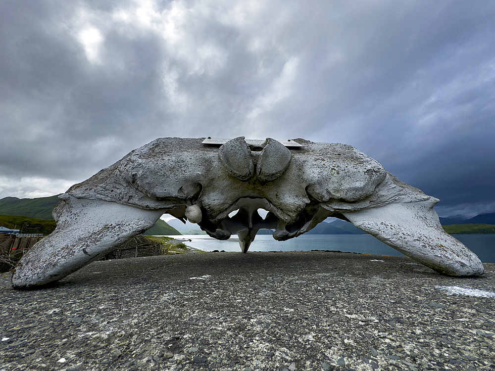 Remains of a baleen whale on top of a World War II pill bunker left unused in Dutch Harbor, Unalaska, Alaska.