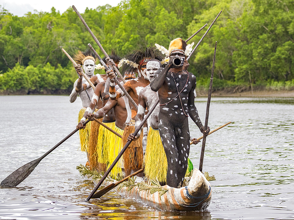Male paddlers from the village of Uwus perform in a ritualistic greeting ceremony, Asmat Region, Papua, Indonesia.