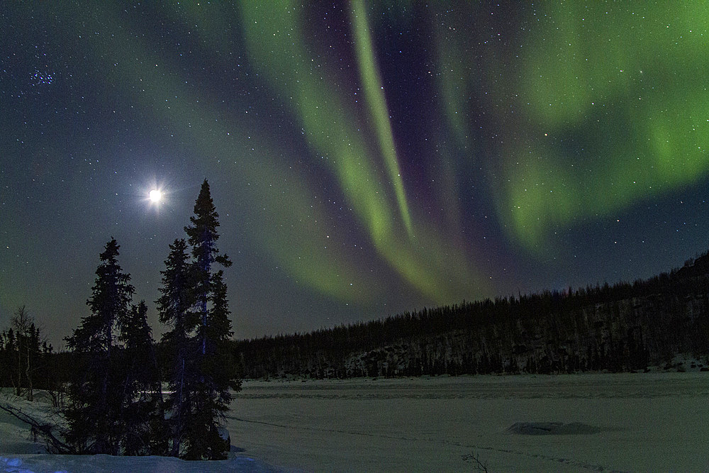 Aurora Borealis, or Northern Lights, over the boreal forest on the Great Slave Lake, Northwest Territories, Canada.