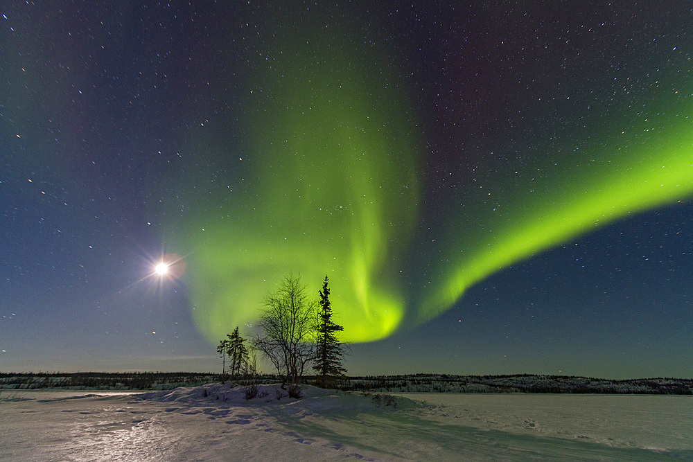 Aurora Borealis, or Northern Lights, over the boreal forest on the Great Slave Lake, Northwest Territories, Canada.