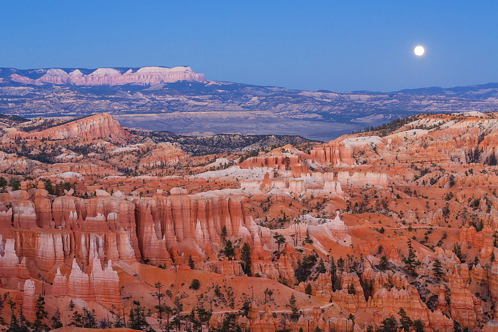 Moonrise over Bryce Canyon Amphitheater from Sunrise Point, Bryce Canyon National Park, Utah, United States of America, North America 