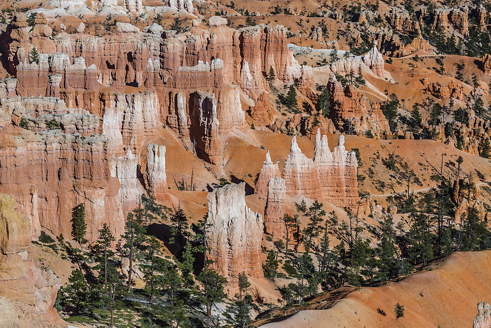 Hoodoo rock formations in Bryce Canyon Amphitheater, Bryce Canyon National Park, Utah, United States of America, North America 