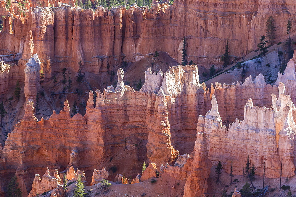 Hoodoo rock formations in Bryce Canyon Amphitheater, Bryce Canyon National Park, Utah, United States of America, North America 