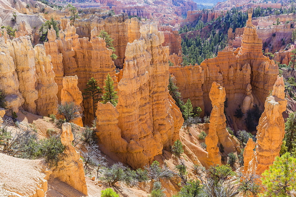 Hoodoo rock formations from the Fairyland Trail, Bryce Canyon National Park, Utah, United States of America, North America 