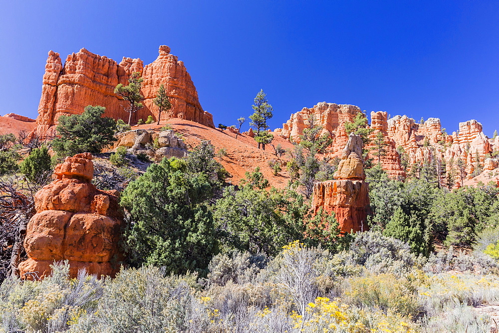 Red sandstone formations in Red Canyon, Dixie National Forest, Utah, United States of America, North America 