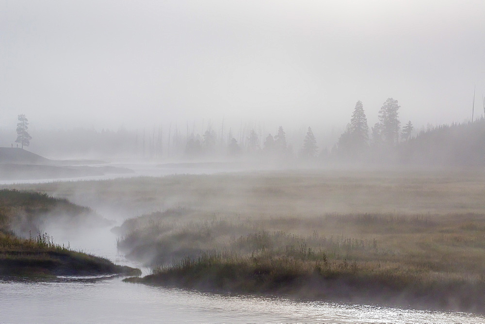 Early morning fog along the Madison River in Yellowstone National Park, UNESCO World Heritage Site, Wyoming, United States of America, North America 