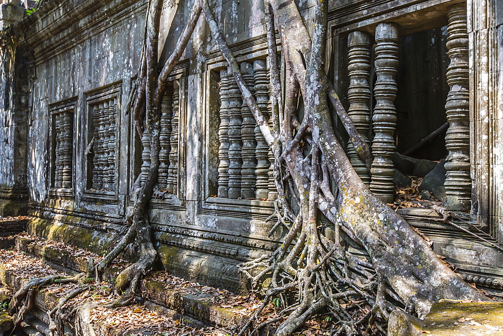 Beng Mealea Temple, overgrown and falling down, Angkor, UNESCO World Heritage Site, Siem Reap Province, Cambodia, Indochina, Southeast Asia, Asia 