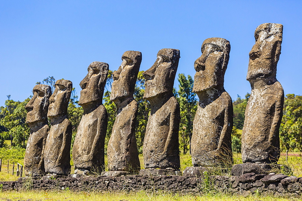 Seven Moai at Ahu Akivi, the first restored altar on Easter Island (Isla de Pascua) (Rapa Nui), UNESCO World Heritage Site, Chile, South America