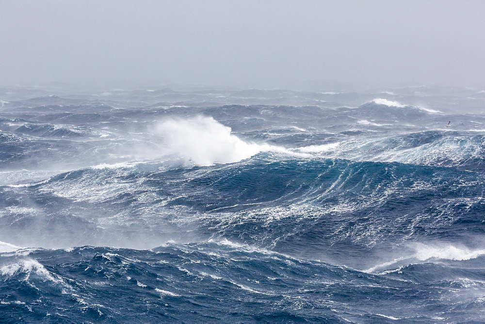 Gale force westerly winds build large waves in the Drake Passage, Antarctica, Polar Regions