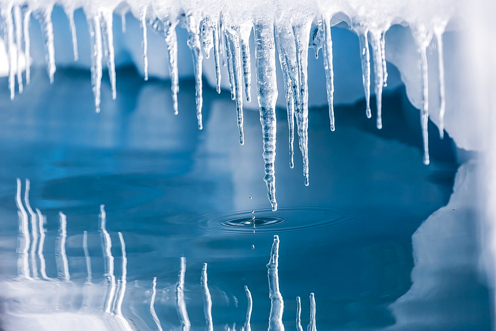 Icicles mirrored in calm water from ice floating in the Neumayer Channel near Wiencke Island, Antarctica, Polar Regions