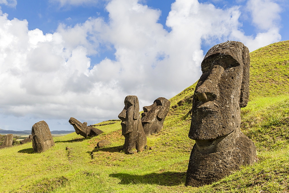 Moai sculptures in various stages of completion at Rano Raraku, the quarry site for all moai on Easter Island, Rapa Nui National Park, UNESCO World Heritage Site, Easter Island (Isla de Pascua), Chile, South America