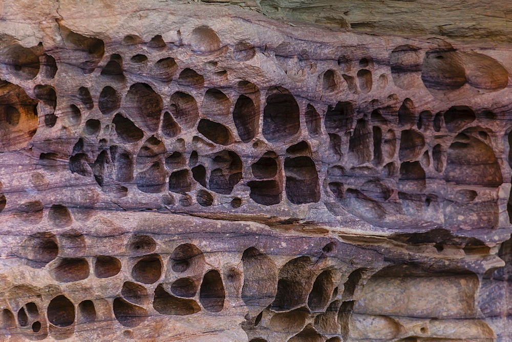 Detail of wind and water erosion in the sandstone cliffs of the King George River, Koolama Bay, Kimberley, Western Australia, Australia, Pacific