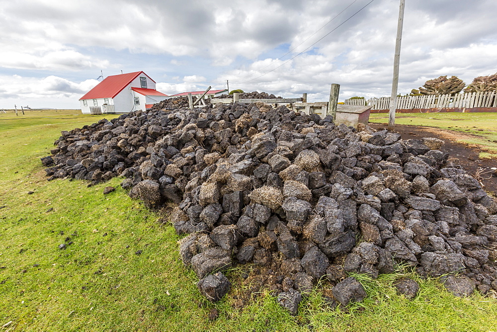 Peat drying in the wind for fuel at Long Island Sheep Farms, outside Stanley, Falkland Islands, U.K. Overseas Protectorate, South America