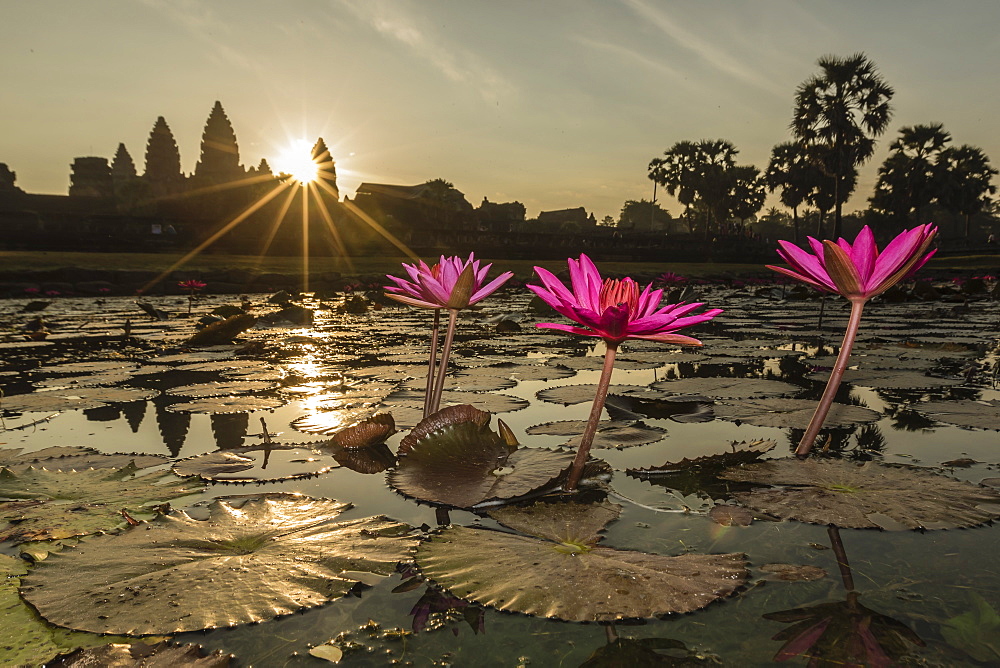 Sunrise over the west entrance to Angkor Wat, Angkor, UNESCO World Heritage Site, Siem Reap, Cambodia, Indochina, Southeast Asia, Asia