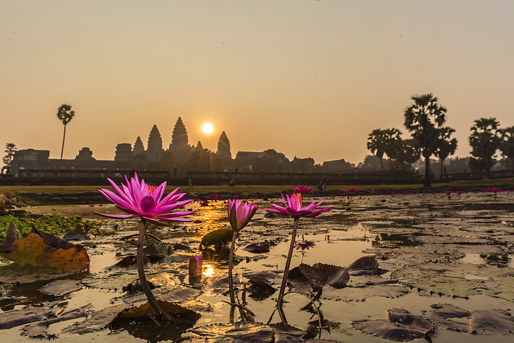 Sunrise over the west entrance to Angkor Wat, Angkor, UNESCO World Heritage Site, Siem Reap, Cambodia, Indochina, Southeast Asia, Asia