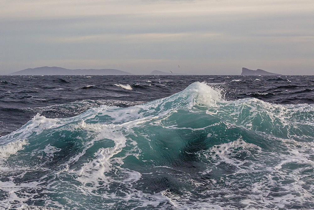 High winds and heavy seas on approach to the New Island Nature Reserve, Falkland Islands, South America