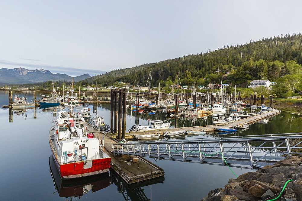 Queen Charlotte City Harbor, Bearskin Bay, Haida Gwaii (Queen Charlotte Islands), British Columbia, Canada, North America