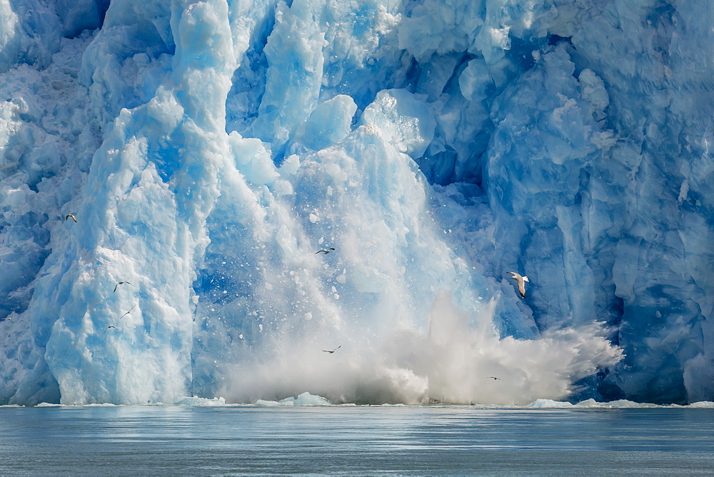 Calved icebergs from the South Sawyer Glacier in Tracy Arm-Fords Terror Wilderness Area in Southeast Alaska, United States of America, North America