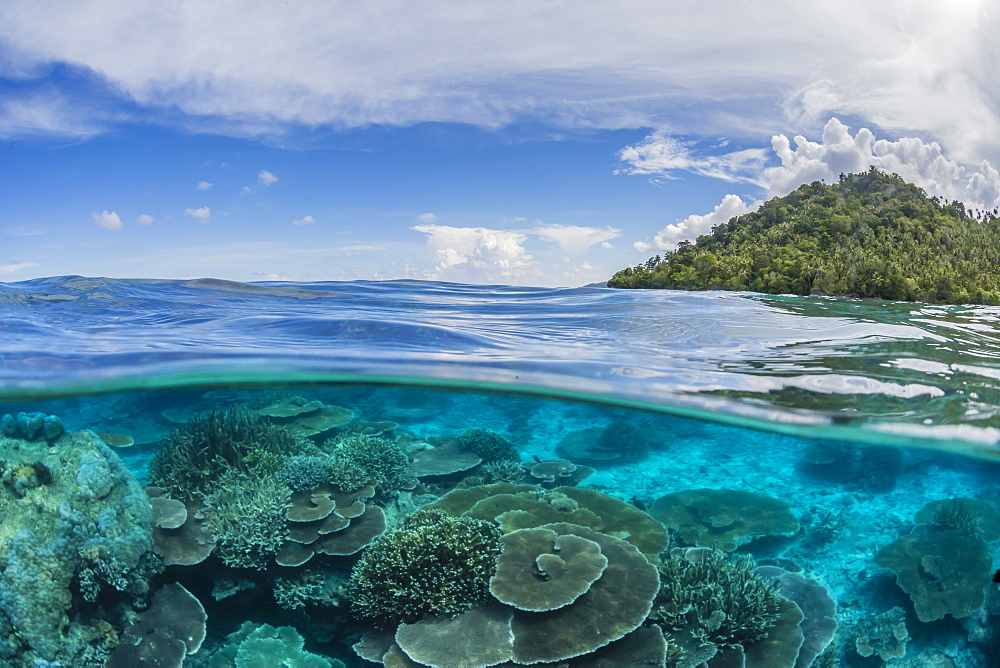 Half above and half below view of coral reef at Pulau Setaih Island, Natuna Archipelago, Indonesia, Southeast Asia, Asia