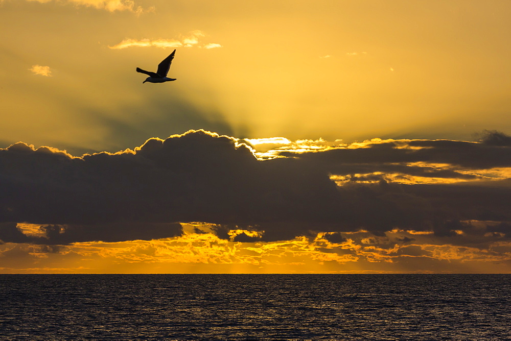 Sunrise near Punta Colorado, San Jose Island, Baja California Sur, Mexico, North America