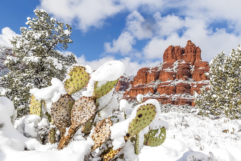 Bell Rock after a snow storm near Sedona, Arizona, United States of America, North America