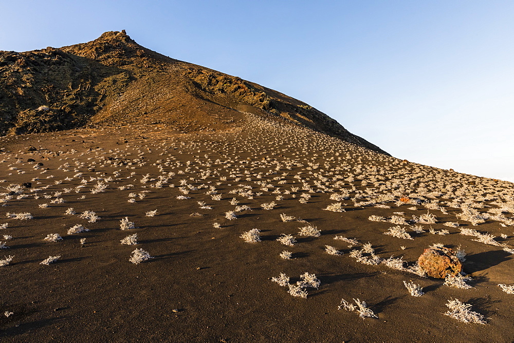 Sunrise over the lava flows on Bartolome Island, Galapagos, Ecuador, South America