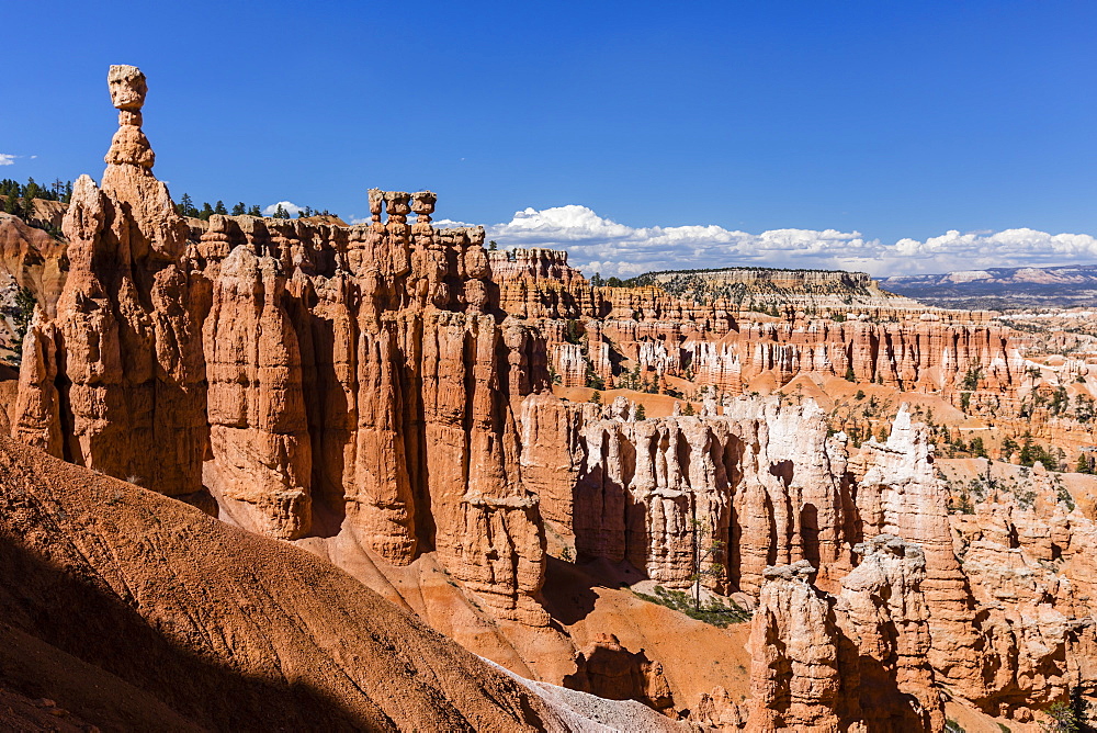 View of Thor's Hammer from the Navajo Loop Trail in Bryce Canyon National Park, Utah, United States of America, North America