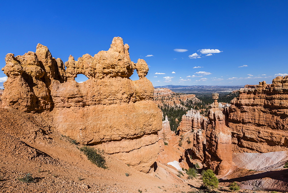 View of hoodoo formations from the Navajo Loop Trail in Bryce Canyon National Park, Utah, United States of America, North America