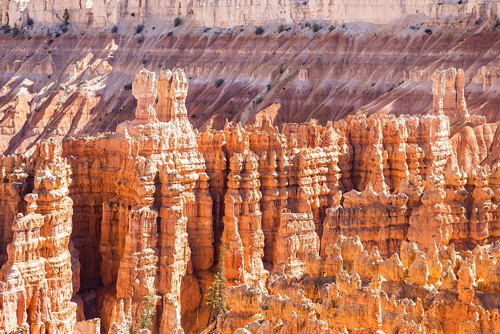 View of hoodoo formations from the Navajo Loop Trail in Bryce Canyon National Park, Utah, United States of America, North America