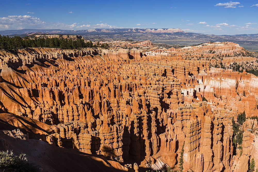 View of The Amphitheater from the Navajo Loop Trail in Bryce Canyon National Park, Utah, United States of America, North America