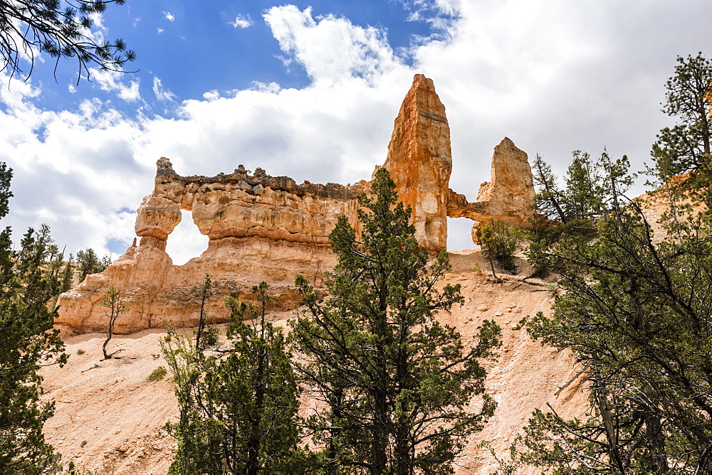 View of Two Towers Bridge from the Fairyland Trail in Bryce Canyon National Park, Utah, United States of America, North America