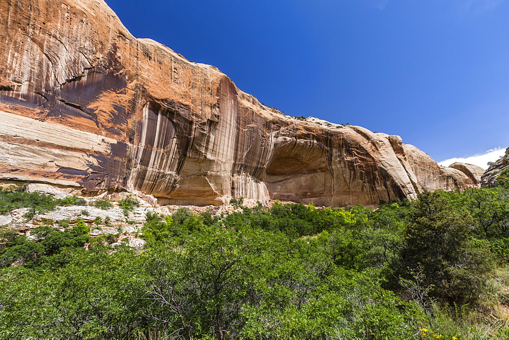 Navajo sandstone in Lower Calf Creek Falls Trail, Grand Staircase-Escalante National Monument, Utah, United States of America, North America