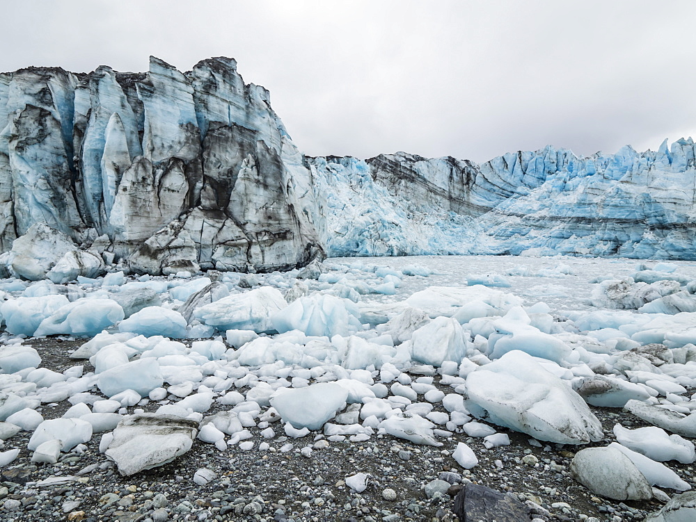 Stranded ice on the low tide in front of Lamplugh Glacier, Glacier Bay National Park and Preserve, Alaska, United States of America, North America