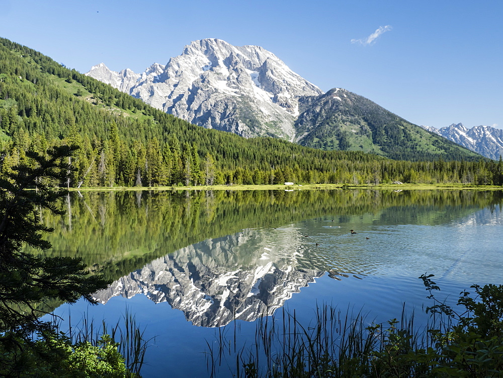 Snow-capped mountains reflected in the calm waters of String Lake, Grand Teton National Park, Wyoming, United States of America, North America