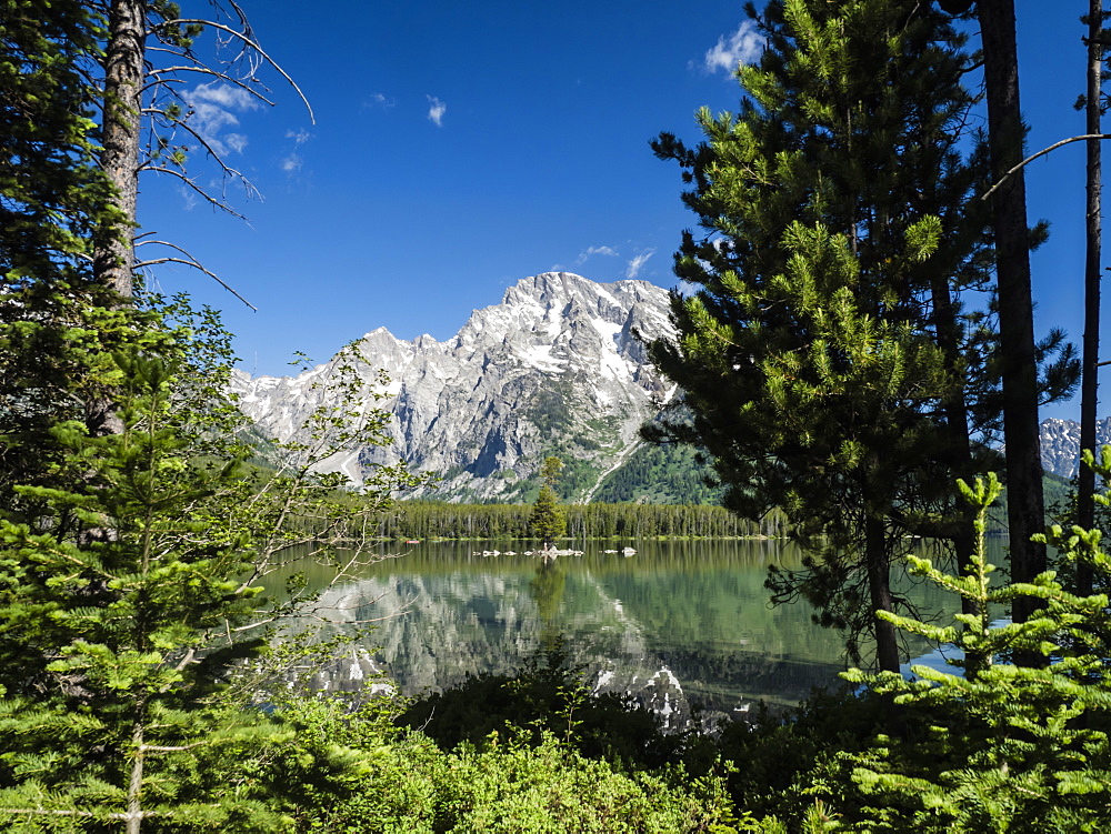 Snow-capped mountains reflected in the calm waters of Leigh Lake, Grand Teton National Park, Wyoming, United States of America, North America