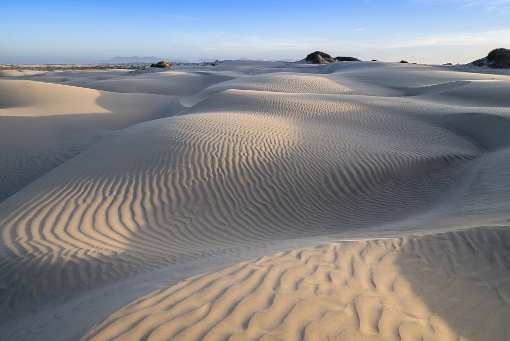 Patterns in the dunes at Sand Dollar Beach, Magdalena Island, Baja California Sur, Mexico, North America