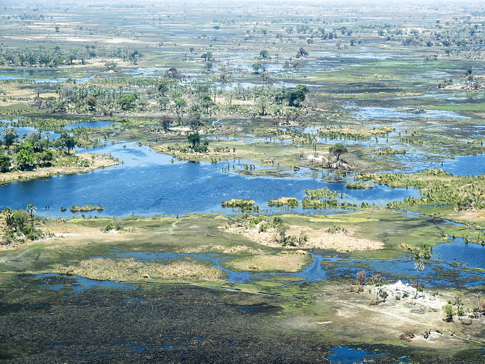 Aerial view of the Okavango Delta during drought conditions in early fall, Botswana, Africa