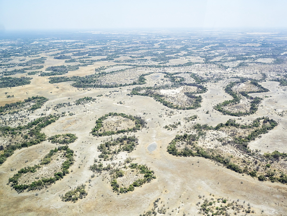 Aerial view of the Okavango Delta during drought conditions in early fall, Botswana, Africa