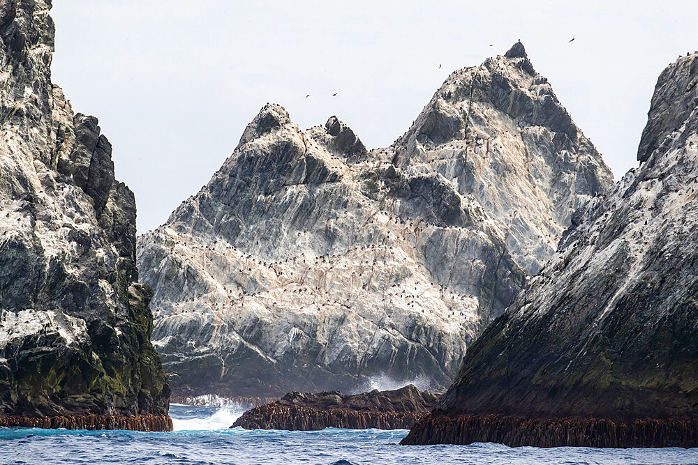 The remote islets known as Shag Rocks, South Georgia, UK Overseas Protectorate, Polar Regions