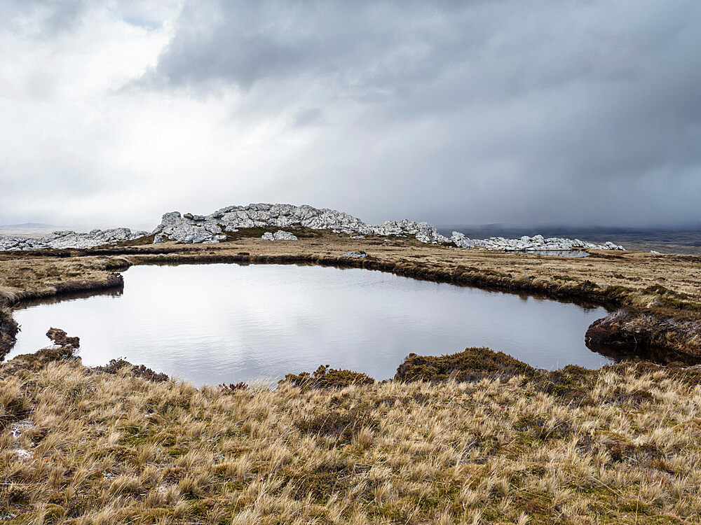 View of melt water pond on Mount Tumbledown, Falkland Islands, South America